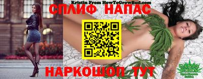 jwh Пыть-Ях