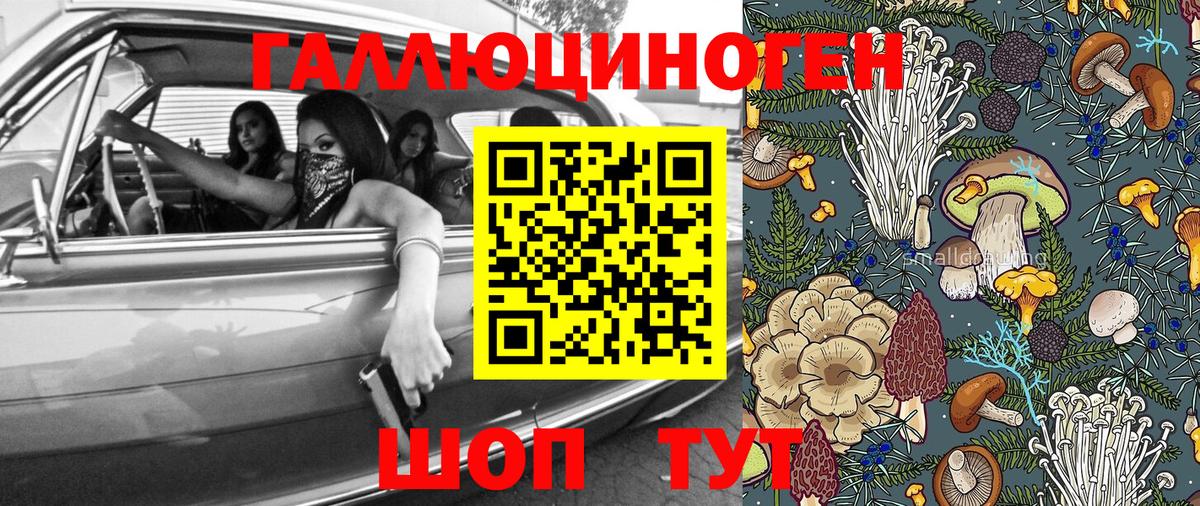 Псилоцибиновые грибы прущие грибы  Вход с VPN  Россошь 